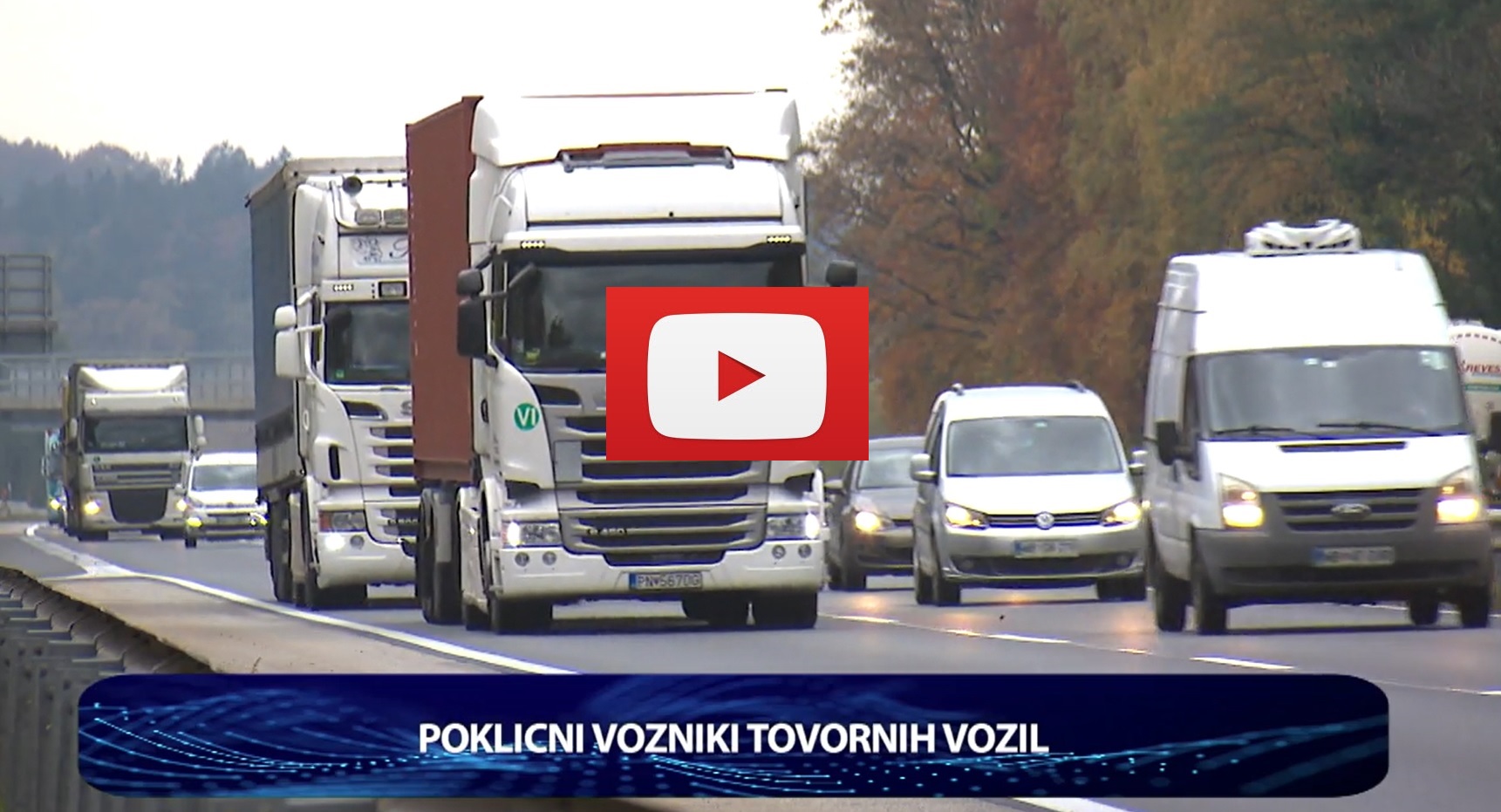 poklicni voz